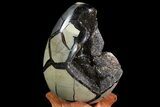 Septarian Dragon Egg Geode - Black Crystals #72003-2